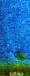 Fine Art Artists in Austin Texas